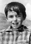 Avatar de Usuario